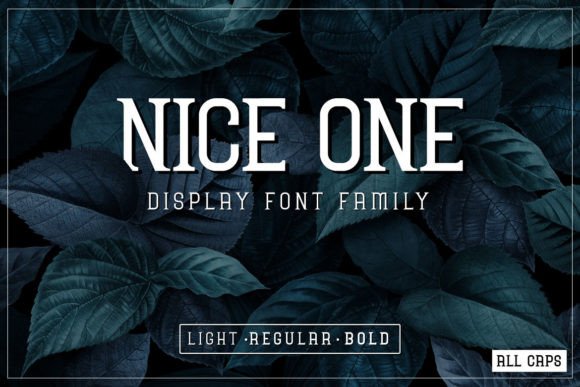 Nice One: A Display Font That Earns Its Name